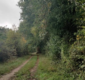 Les Bernadettes - Monthou-sur-Bièvre - 5