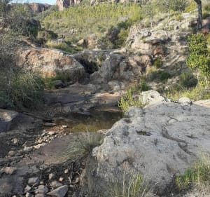 Balade à vtc en forêt de Palayson - Roquebrune-sur-Argens - 3