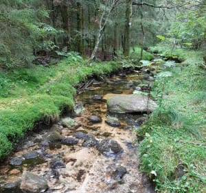 Sentier des Ecoliers Liezey - Liézey - 3