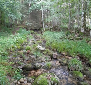 Sentier des Ecoliers Liezey - Liézey - 5