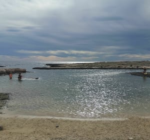 Rustige wandeling op het strand van Bonnieu - Carro. - Martigues - 4