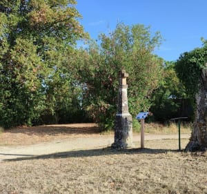 Sur les traces de la Suzanne - Bar-le-Duc - 5