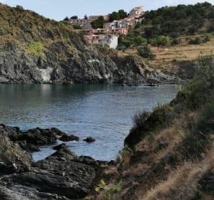 De Cerbère, plages des aloès - Cerbère - 3
