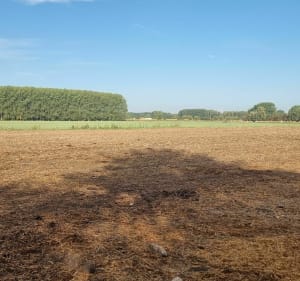 Parcours dans Hasnon(inclut le circuit de Cataine) - Hasnon - 3