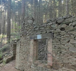 Balade VTT entre pré et forêt - Saint-Chamond - 3