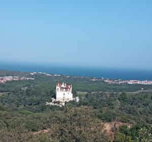 La Massane - Argelès sur Mer - 3