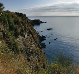 De Cerbère, plages des aloès - Cerbère - 5