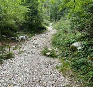 Cascade de la Pisserote - Saint-Joseph-de-Rivière - 3