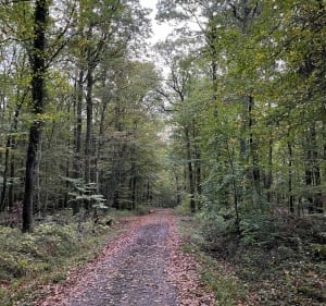 De Mitschdorf a Mariennbronn en passant par Lampertschloch. - Gœrsdorf - 4