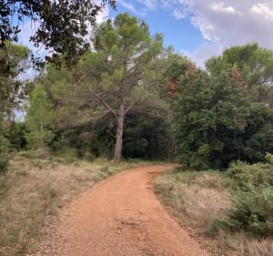 Sur les hauteurs de Laurens - Laurens - 5