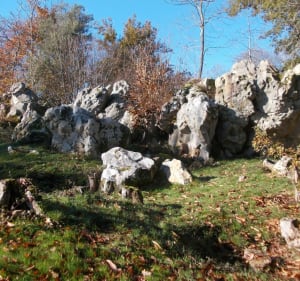 La boucle du Polissoir – Forêt de Campagne - Campagne - 3