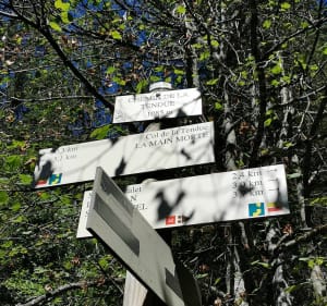 Un chemin vers la grotte de Celary - Septmoncel les Molunes - 3