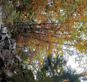 Promenade au Mont Veyrier, Mont Baron et Ancien Téléphérique - Annecy - 5