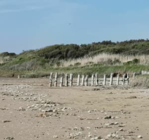 Ascension du mont Saint-Frieux et bord de plage - Dannes - 3