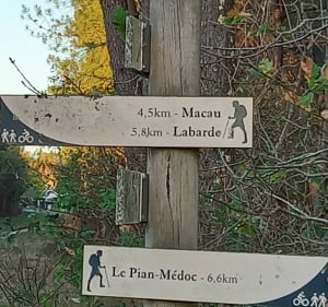 Entre lac  vignes et forêt - Ludon-Médoc - 3
