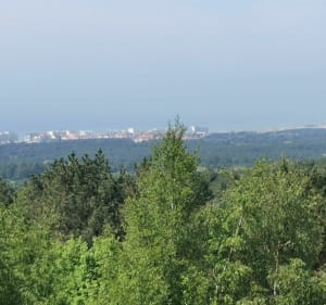 Ascension du mont Saint-Frieux et bord de plage - Dannes - 5