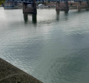 Entre Garonne et Canal depuis Compans - Toulouse - 4