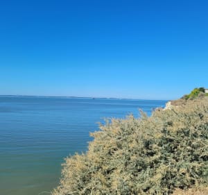 Visite touristique de Meschers sur Gironde - Meschers-sur-Gironde - 3