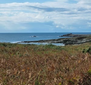 Le grand tour de Quiberon par la Pointe du Conguel - Quiberon - 4