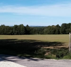 Chemins et sentiers forestier. BOUCLE Hennezel-Hennezel - Hennezel - 3