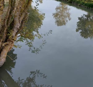 Randonnée vers le Pont de la Cèpe et le dolmen - La Vallée - 4
