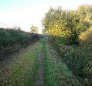 Biache Saint-Vaast - la Kwarta - Biache-Saint-Vaast - 4