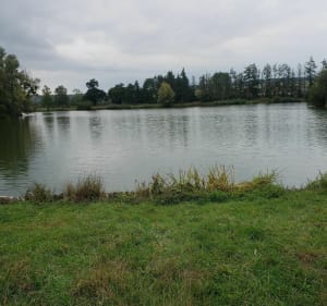 Étang Taron - Pacy-sur-Eure - 5
