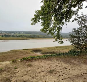 Boucle entre Landerneau et la forêt de Landerneau - La Forest-Landerneau - 4