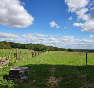 La Chapelle-près-Sées - La Chapelle-près-Sées - 4