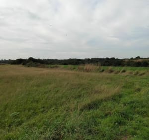Circuit des moulins et lacs - SARAH - 3