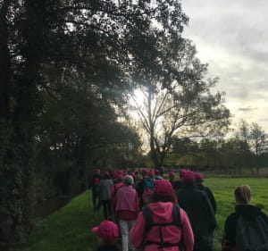 Aubigny sur Nère habillé de rose - Aubigny-sur-Nère - 3