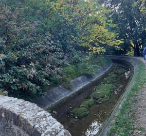 Langs het Siagnekanaal - Grasse - 3