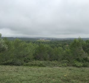 Sur les hauteurs de Montarnaud et le long de Bel-Air - Montarnaud - 4