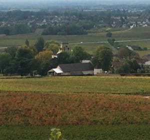 Premières rougeurs automnales de la côte - Magny-lès-Villers - 4