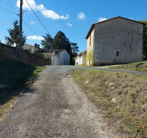 Balade sur les bords de la Garonne - Portets - 4