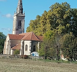 Balade sur les bords de la Garonne - Portets - 5