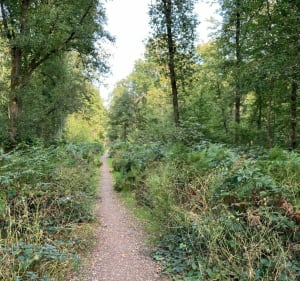 Belle balade dans les ruelles de Preux aux bois et forêt - Preux-au-Bois - 3