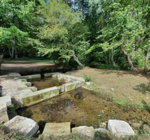 Balade entre vignes et bois - Bussac-sur-Charente - 4