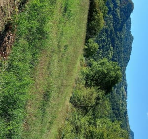 RANDONNÉE  LAC DE MONTEYNARD - Mayres-Savel - 4
