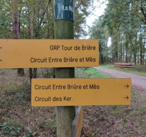 Port de Bréca les marais - Saint-Lyphard - 5