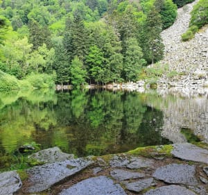 De Metzeral au sommet du Hohneck - Metzeral - 3