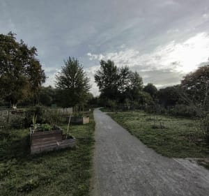 Des rives du Gave au Hédas - Pau - 3