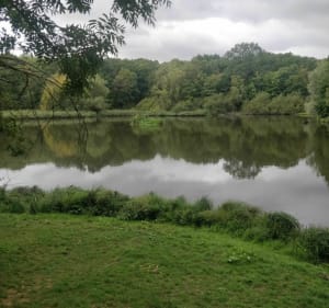 Le long de la Bièvre en passant par forêts et merveilles - Clamart - 4
