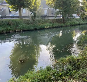 Merville, au fil de l’eau - Merville - 3