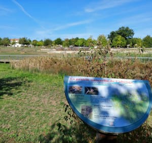 Parcours entre ville et forêt - Fontaine le Comte - 4