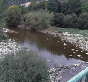 Balade tranquille par les ponts et passerelles sur le Tech - Amélie-les-Bains-Palalda - 4