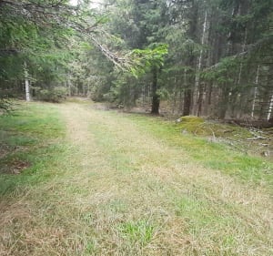 VTT facile en Pinatelle - Dienne - 4