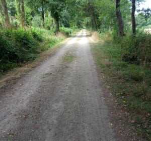 Zone Humide de Langazel - Trémaouézan - 3