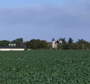 Randonnée vallée de moine - Sèvremoine - 5