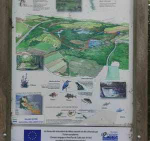 Petite balade au plateau des Landes - Blendecques - 3